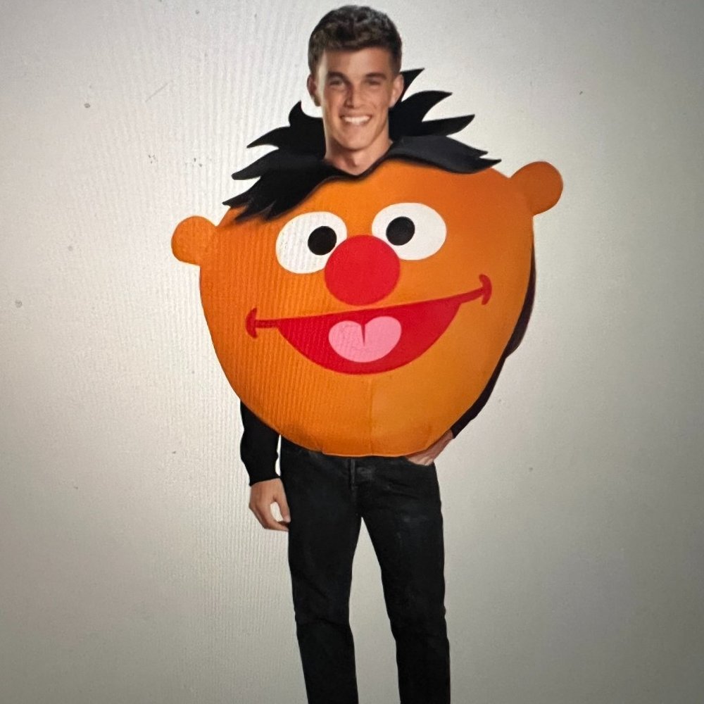 Ernie Sesame Street Adult Costume